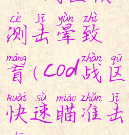 cod战区侦测击晕致盲(cod战区快速瞄准击杀)