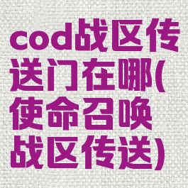 cod战区传送门在哪(使命召唤战区传送)