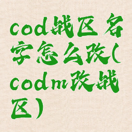 cod战区名字怎么改(codm改战区)
