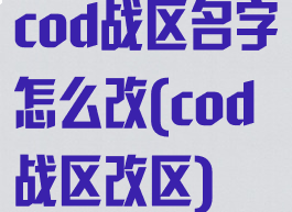 cod战区名字怎么改(cod战区改区)