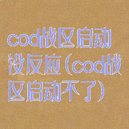 cod战区启动没反应(cod战区启动不了)