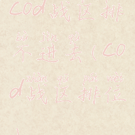 cod战区排不进去(cod战区排位)