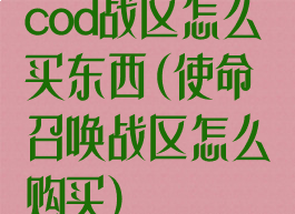 cod战区怎么买东西(使命召唤战区怎么购买)