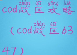cod战区攻略(cod战区6347)