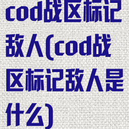 cod战区标记敌人(cod战区标记敌人是什么)