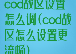 cod战区设置怎么调(cod战区怎么设置更流畅)