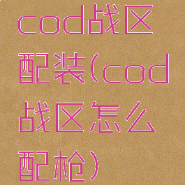cod战区配装(cod战区怎么配枪)