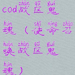 cod战区鬼魂(使命召唤战区鬼魂)