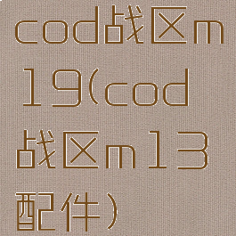 cod战区m19(cod战区m13配件)