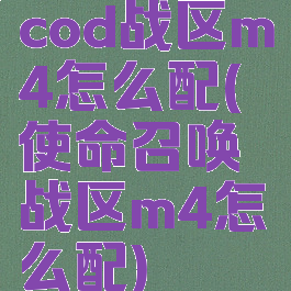 cod战区m4怎么配(使命召唤战区m4怎么配)