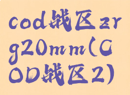 cod战区zrg20mm(COD战区2)