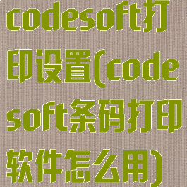 codesoft打印设置(codesoft条码打印软件怎么用)