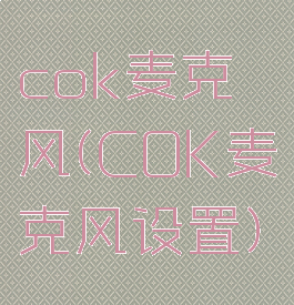 cok麦克风(COK麦克风设置)