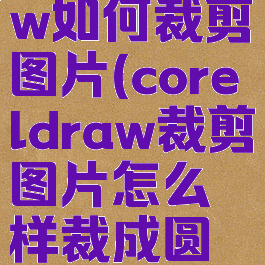 coreldraw如何裁剪图片(coreldraw裁剪图片怎么样裁成圆形)