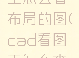 cad看图王怎么看布局的图(cad看图王怎么查看布局)
