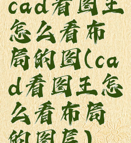 cad看图王怎么看布局的图(cad看图王怎么看布局的图层)