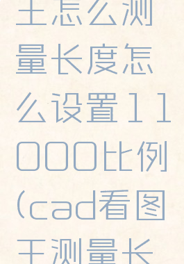 cad看图王怎么测量长度怎么设置11000比例(cad看图王测量长度单位)
