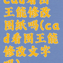 cad看图王能修改图纸吗(cad看图王能修改文字吗)