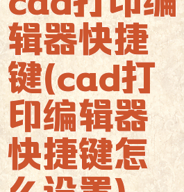 cad打印编辑器快捷键(cad打印编辑器快捷键怎么设置)