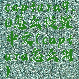 captura9.0怎么设置中文(captura怎么用)