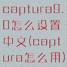 captura9.0怎么设置中文(captura怎么用)