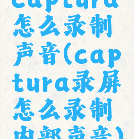 captura怎么录制声音(captura录屏怎么录制内部声音)