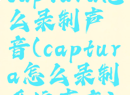 captura怎么录制声音(captura怎么录制系统声音)