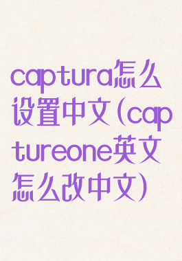captura怎么设置中文(captureone英文怎么改中文)