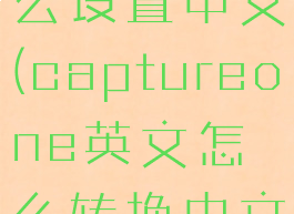 capture怎么设置中文(captureone英文怎么转换中文)
