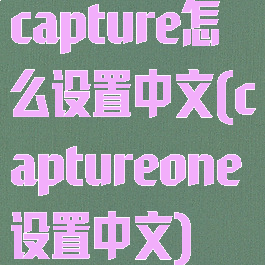 capture怎么设置中文(captureone设置中文)