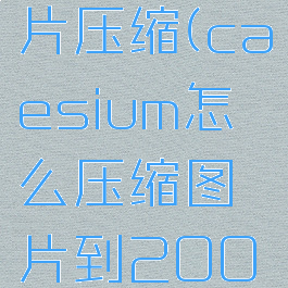 casium图片压缩(caesium怎么压缩图片到200kb)