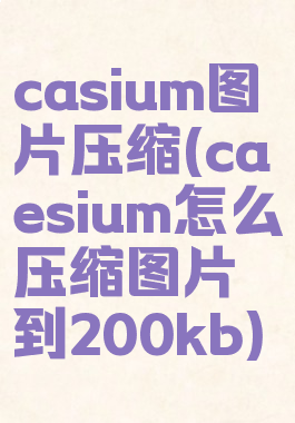 casium图片压缩(caesium怎么压缩图片到200kb)