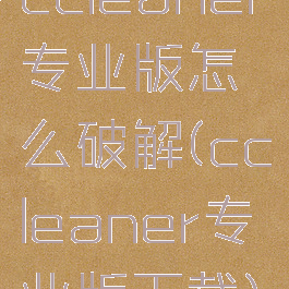 ccleaner专业版怎么破解(ccleaner专业版下载)
