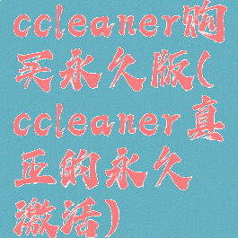 ccleaner购买永久版(ccleaner真正的永久激活)