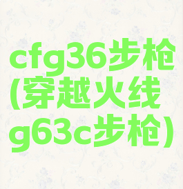 cfg36步枪(穿越火线g63c步枪)