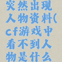 cf游戏中突然出现人物资料(cf游戏中看不到人物是什么原因)