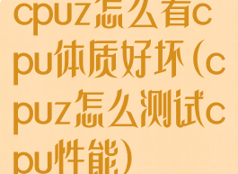 cpuz怎么看cpu体质好坏(cpuz怎么测试cpu性能)