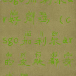 csgo加利尔ar好用吗(csgo加利尔ar的皮肤都有什么)