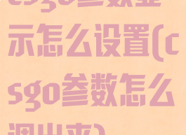 csgo参数显示怎么设置(csgo参数怎么调出来)