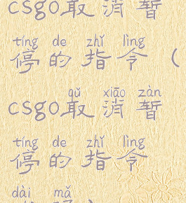 csgo取消暂停的指令(csgo取消暂停的指令代码)