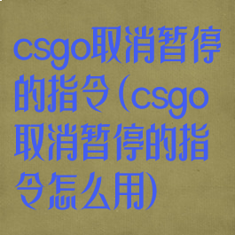 csgo取消暂停的指令(csgo取消暂停的指令怎么用)