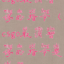csgo取消暂停的指令(csgo取消暂停的指令是什么)
