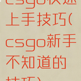 csgo快速上手技巧(csgo新手不知道的技巧)