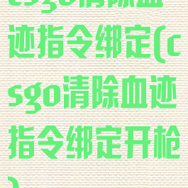csgo清除血迹指令绑定(csgo清除血迹指令绑定开枪)