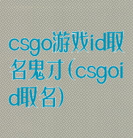 csgo游戏id取名鬼才(csgoid取名)
