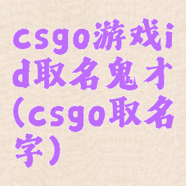 csgo游戏id取名鬼才(csgo取名字)