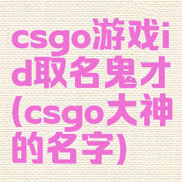 csgo游戏id取名鬼才(csgo大神的名字)
