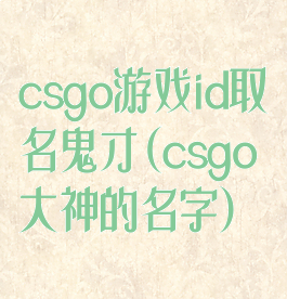 csgo游戏id取名鬼才(csgo大神的名字)