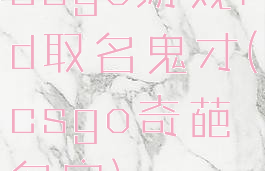 csgo游戏id取名鬼才(csgo奇葩名字)