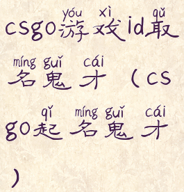 csgo游戏id取名鬼才(csgo起名鬼才)